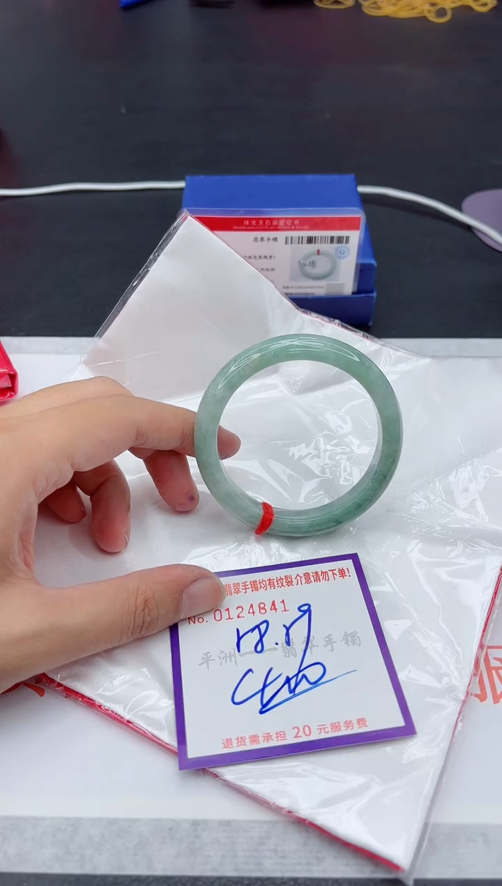 未镶嵌手镯翡翠1111111
