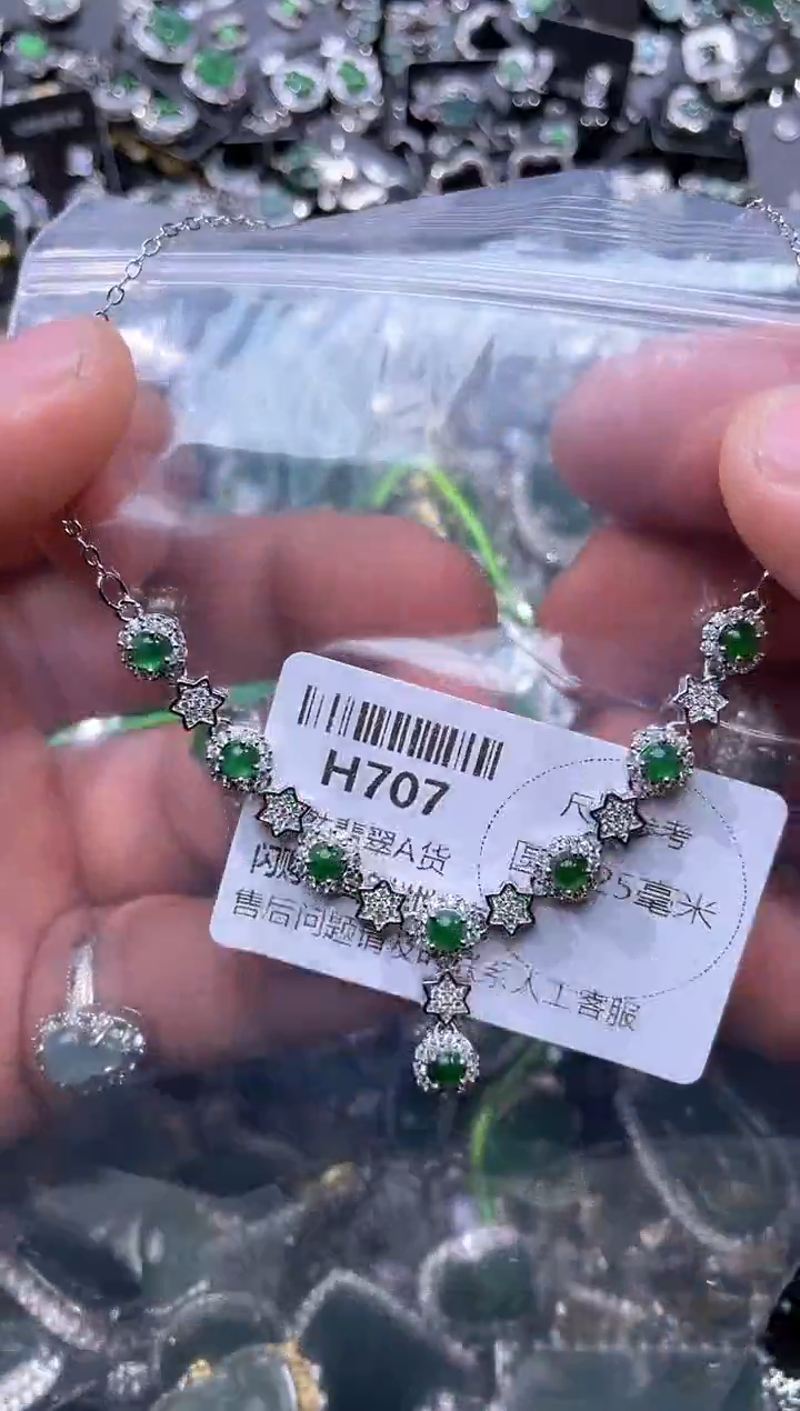 【闪购商品】翡翠颈饰未镶嵌H707项链