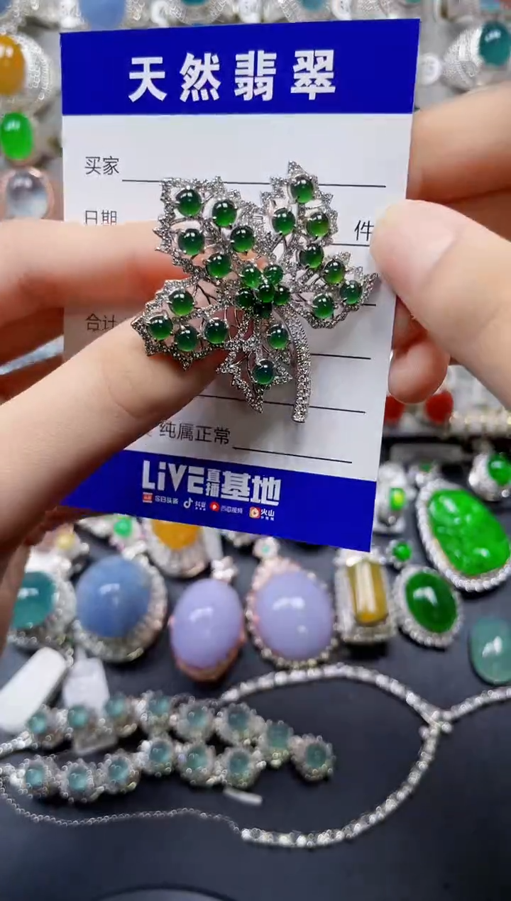【闪购商品】翡翠颈饰银S925镶嵌0763