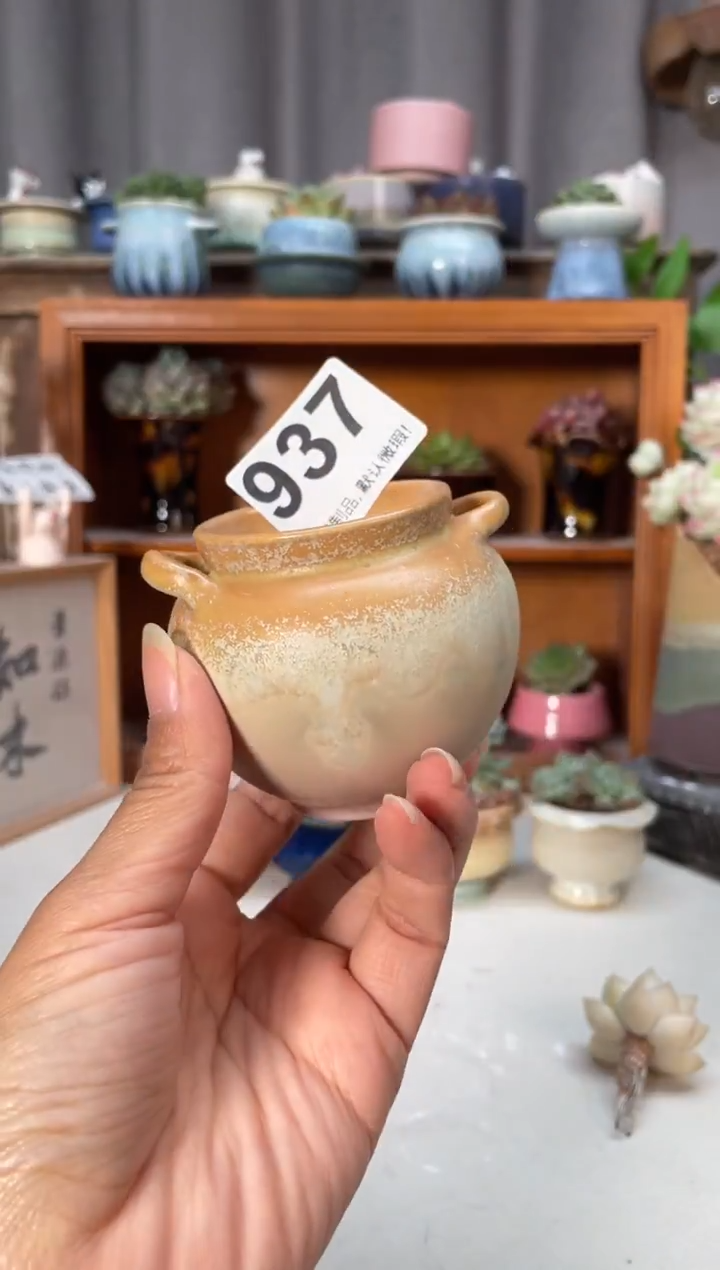 瓷片937小芳直播编号