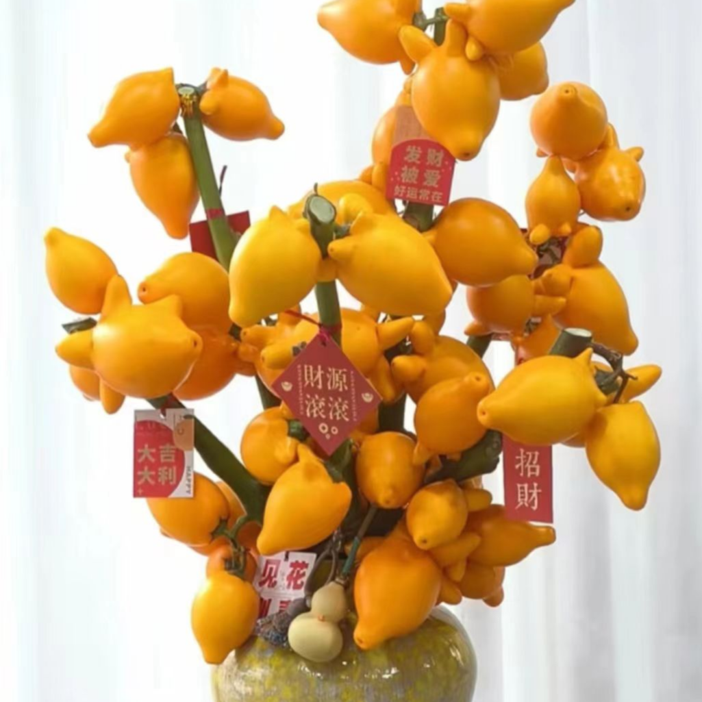 YZ【五代果2支】超长花期