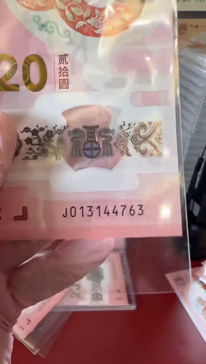 【闪购商品】塑料25蛇钞013144763单张裸