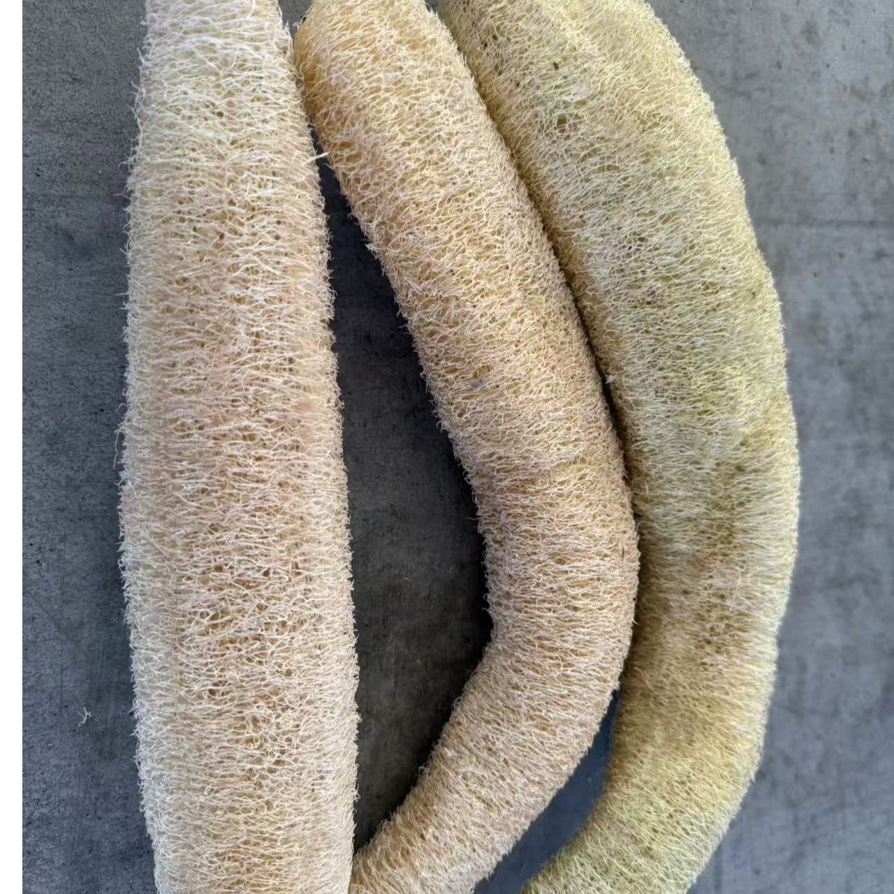 湖北农家菜  丝瓜瓤子2个包邮