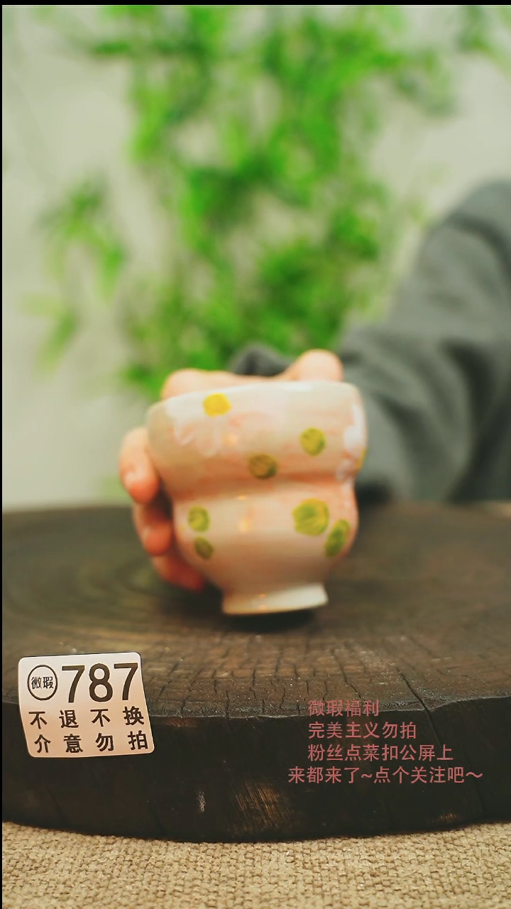 【闪购商品】微瑕景德镇手工手绘787