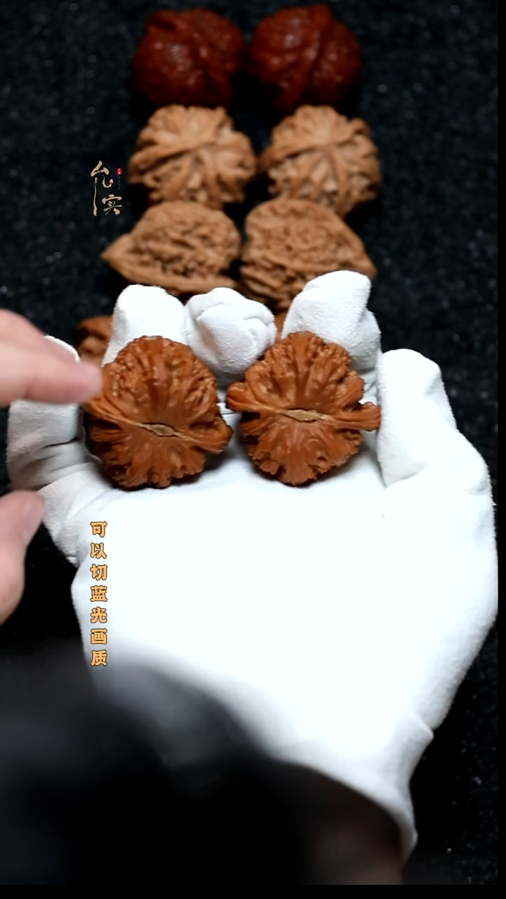把件文玩核桃白狮子
