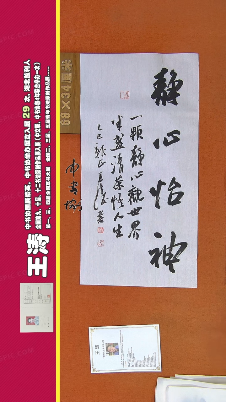 【闪购商品】117王涛书法作品精品