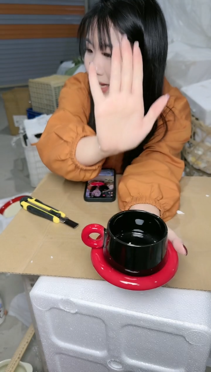 【闪购商品】瓷片微瑕陶瓷餐具31