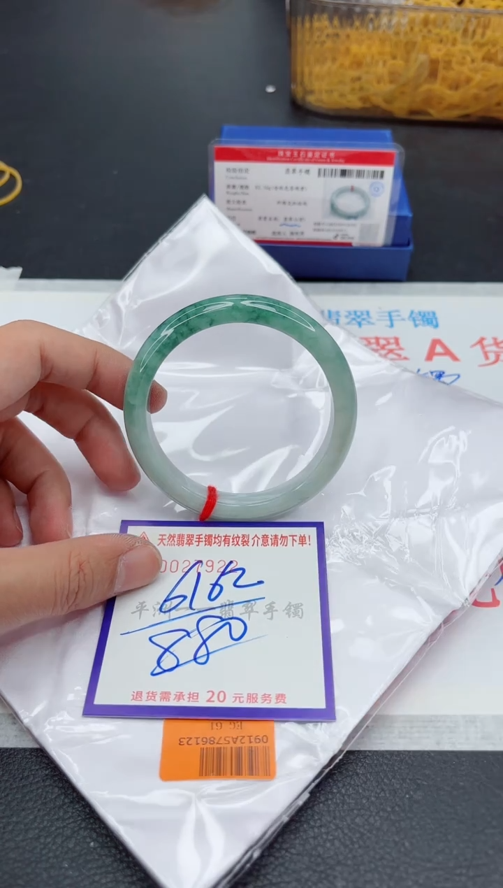 未镶嵌手镯翡翠1