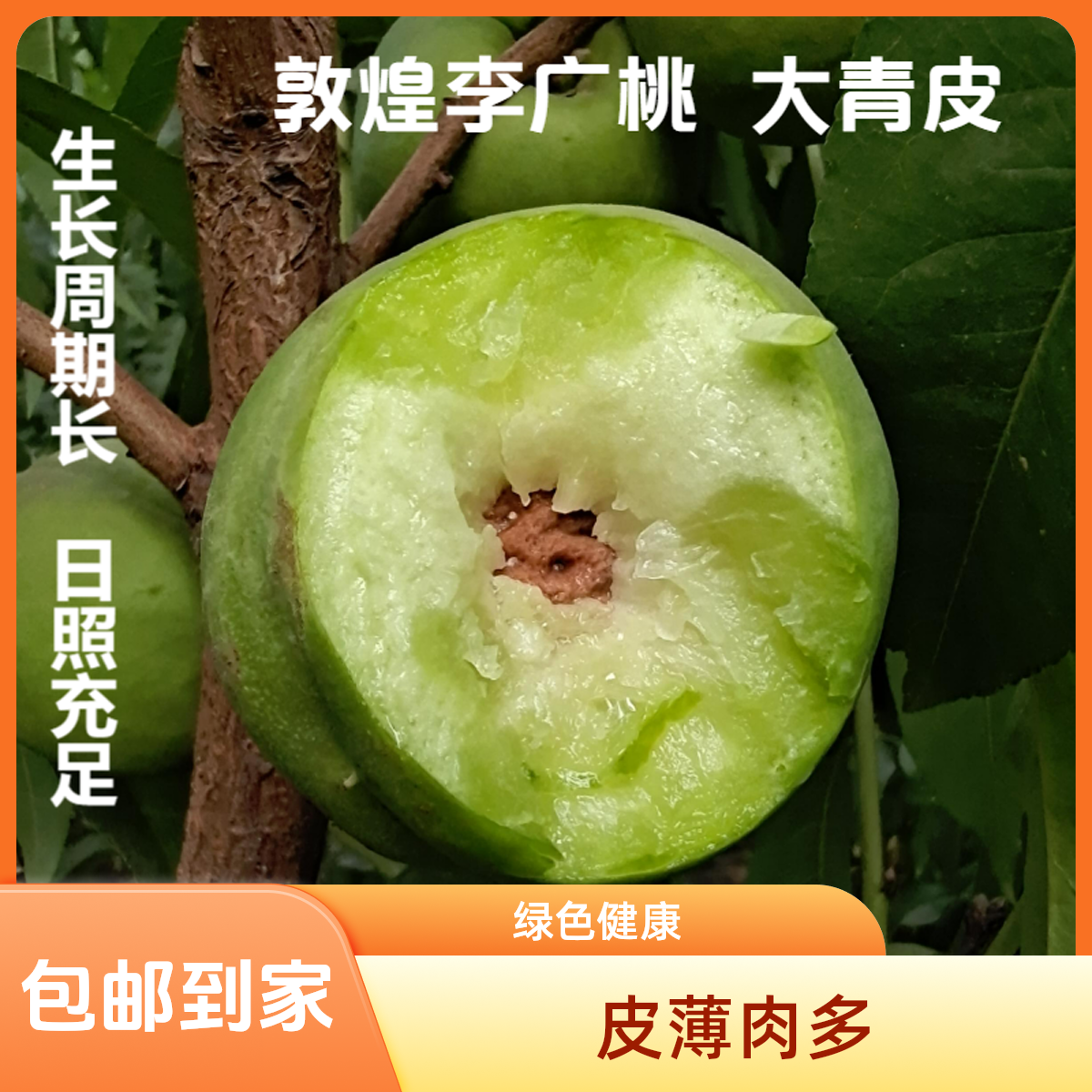 南望祁连品牌老味道正宗敦煌李广桃头茬现摘新鲜应季京东包邮