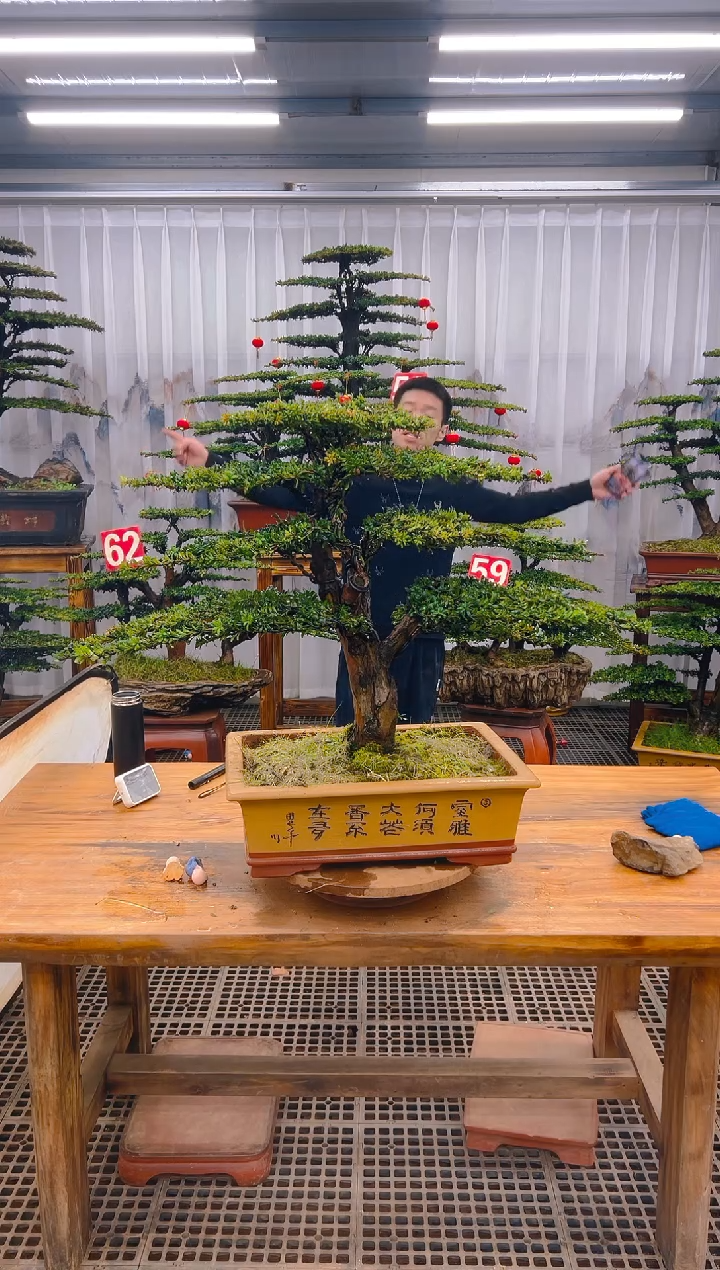 【闪购商品】紫砂精品盆景直播间一物一拍