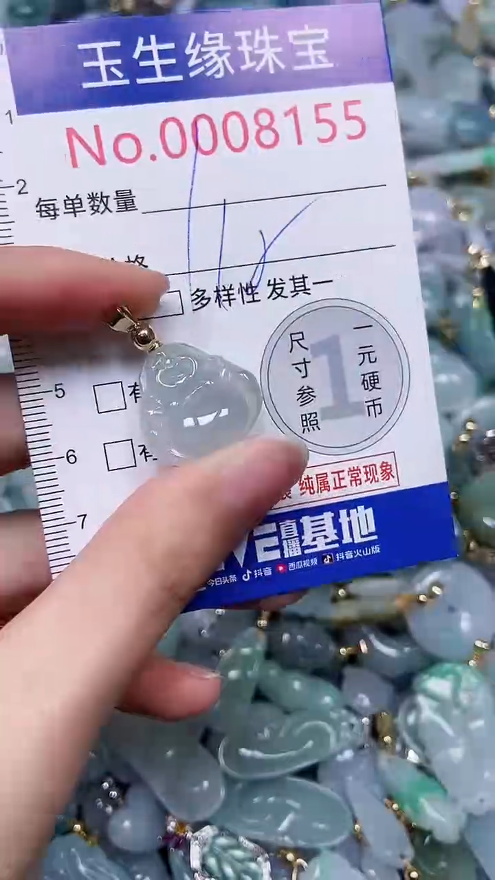 【闪购商品】翡翠颈饰未镶嵌闪购00008155