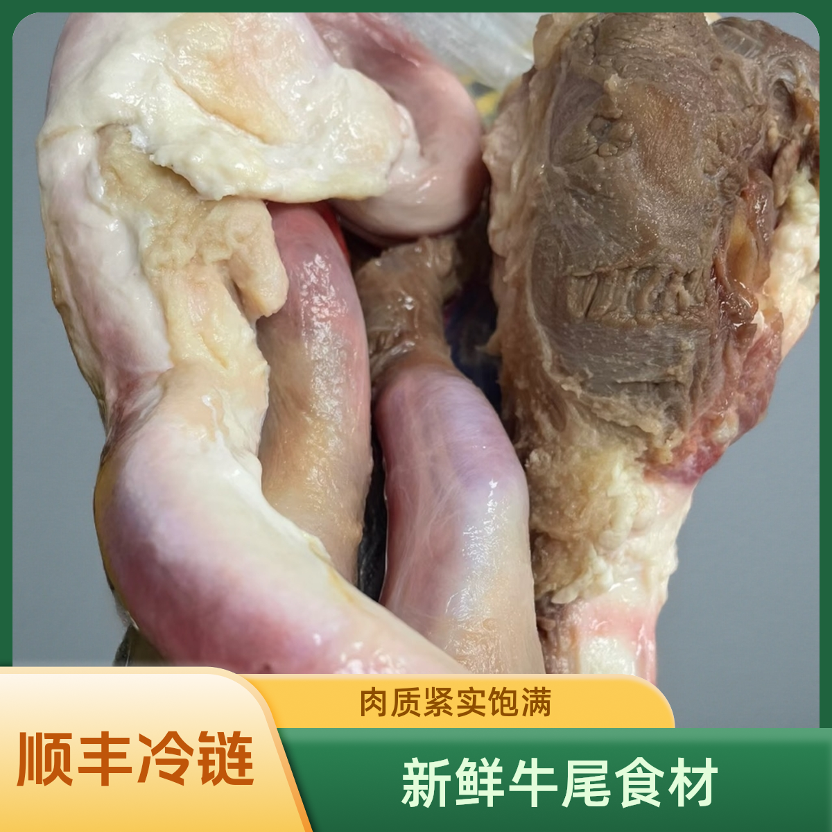 【整根牛三宝】新鲜牛鞭 一鞭两蛋整套牛鞭全套现宰速冻顺丰冷链