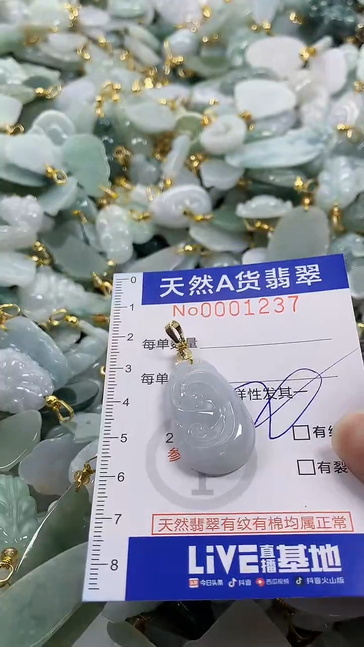 颈饰未镶嵌翡翠纯天然a货翡翠