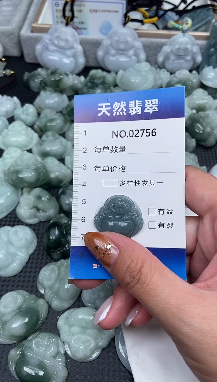 颈饰未镶嵌翡翠纯天然A货翡翠2756