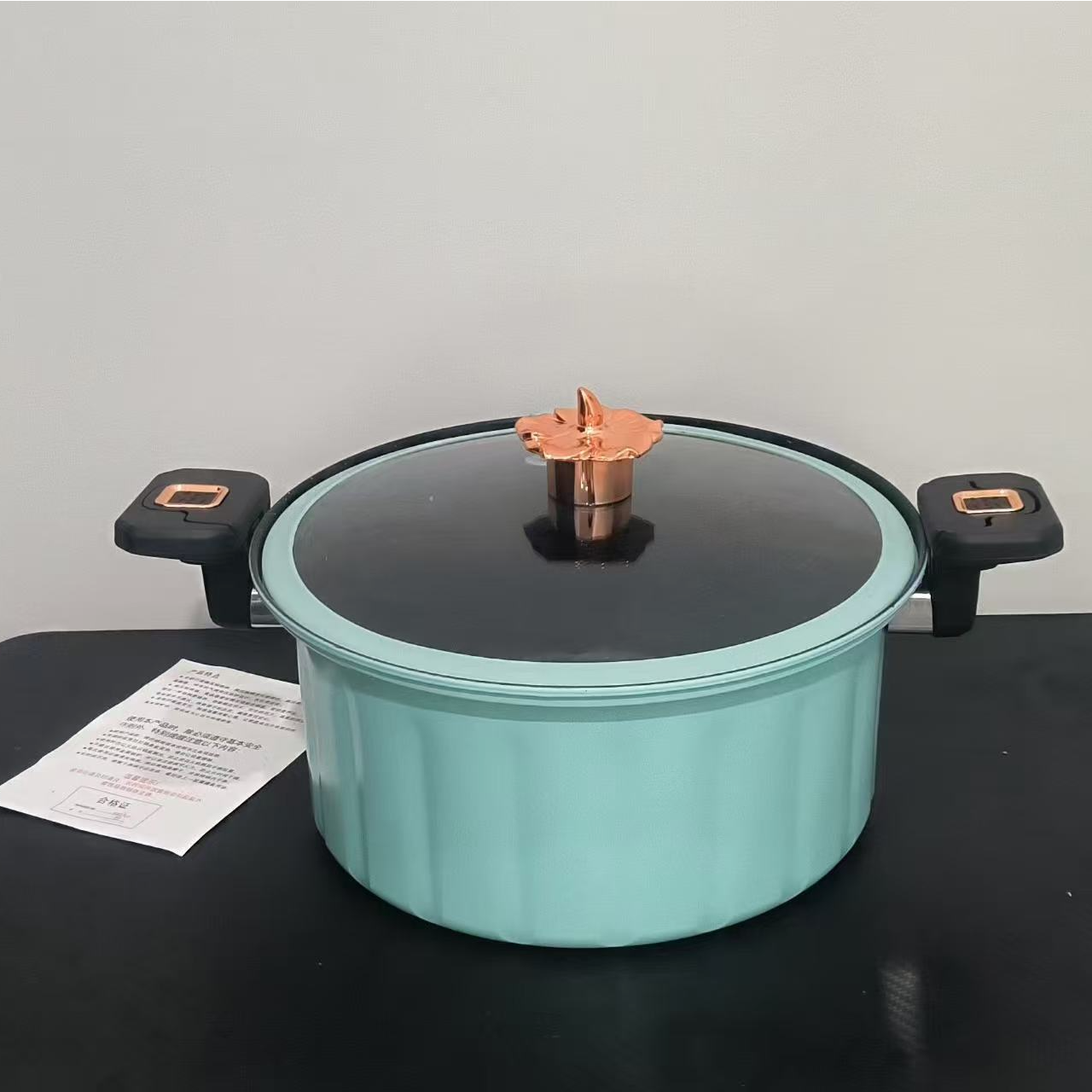 珐琅微压锅电磁炉通用不粘汤锅多功能双耳炖锅燃气灶（颜色随机）