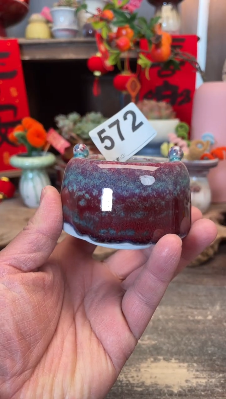 【闪购商品】摆件572知木小芳花盆