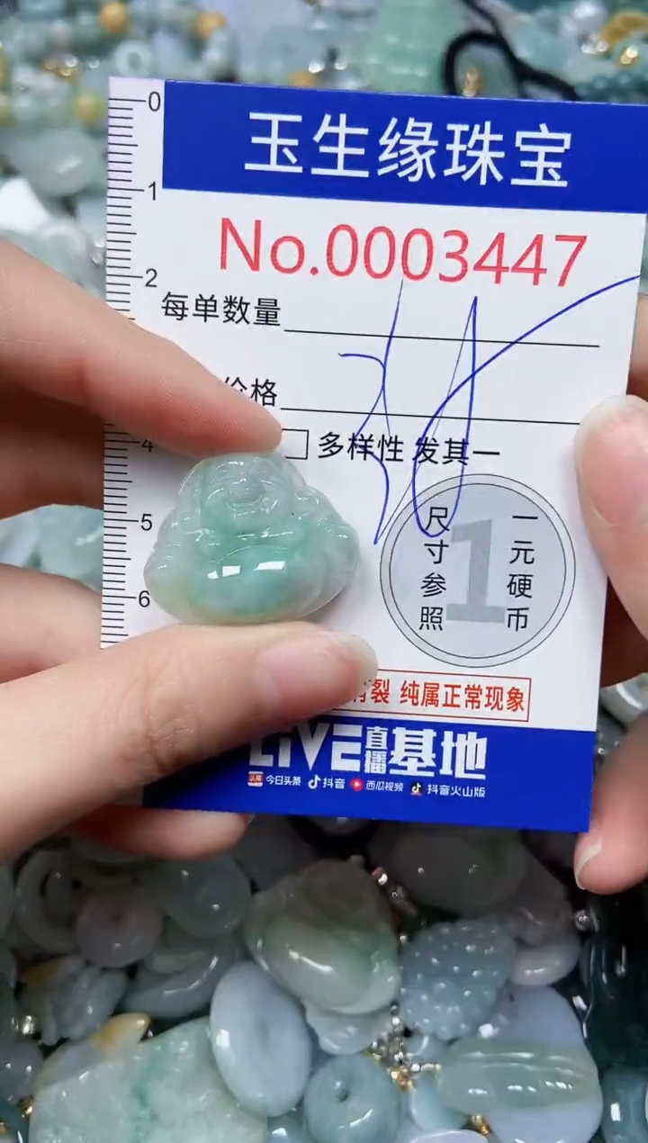 【闪购商品】翡翠颈饰未镶嵌闪购00003447