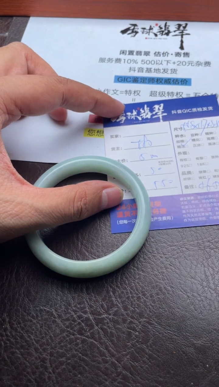 未镶嵌手镯翡翠20091123003