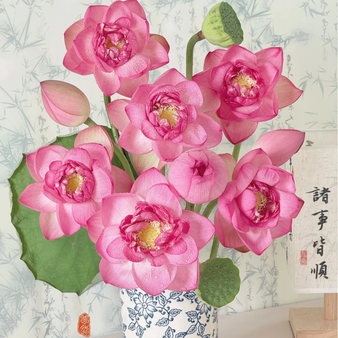 【大聪明卖花】荷花鲜花  任意两单花材顺丰冷链或德邦快递