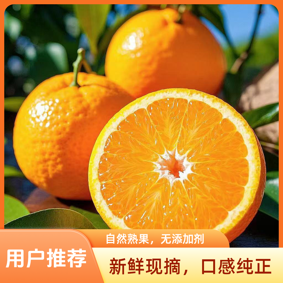 正宗广西武鸣沃柑新鲜水果4斤