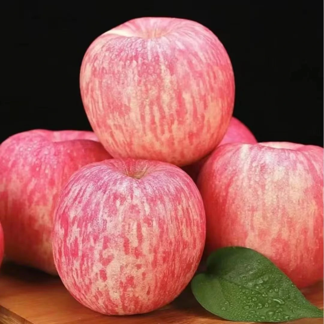 【红富士苹果】山东烟台正宗红富士苹果脆甜多汁新鲜水果产地直发