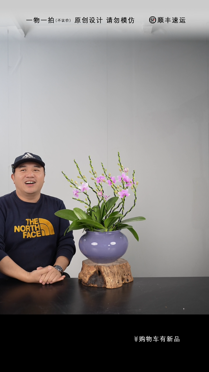 【闪购商品】065号链接【一物一拍】艺术盆景