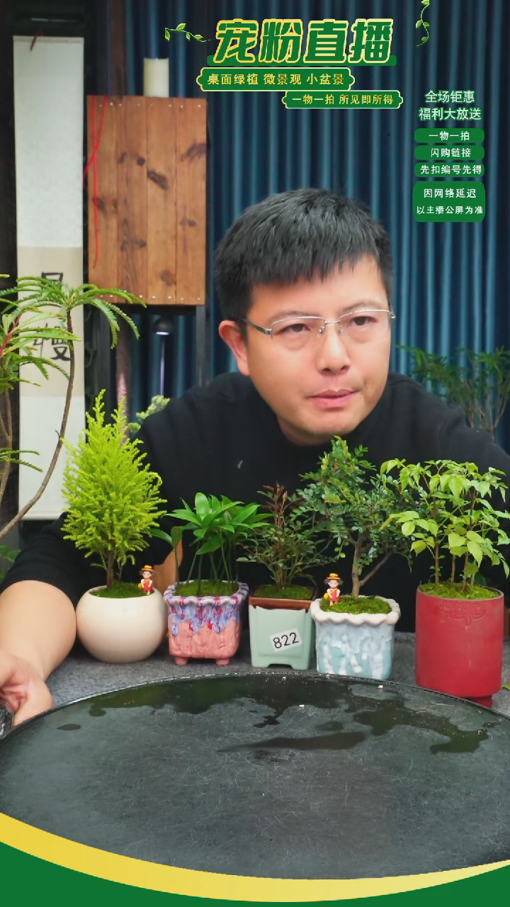 无花朵轩*苔藓微景观822号