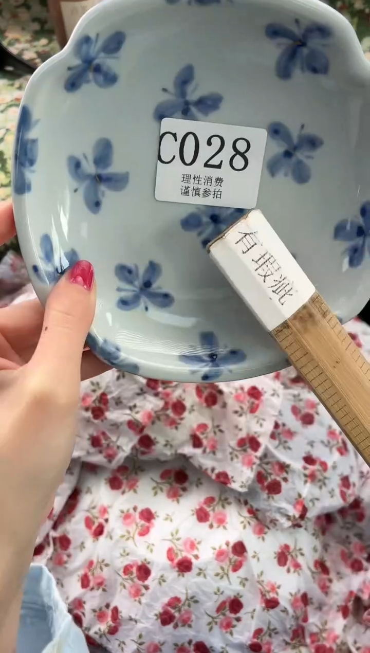 瓷片鱼*儿       C028