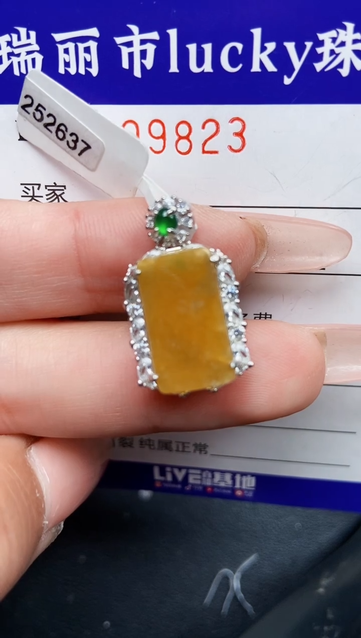 【闪购商品】翡翠颈饰银S925镶嵌9823