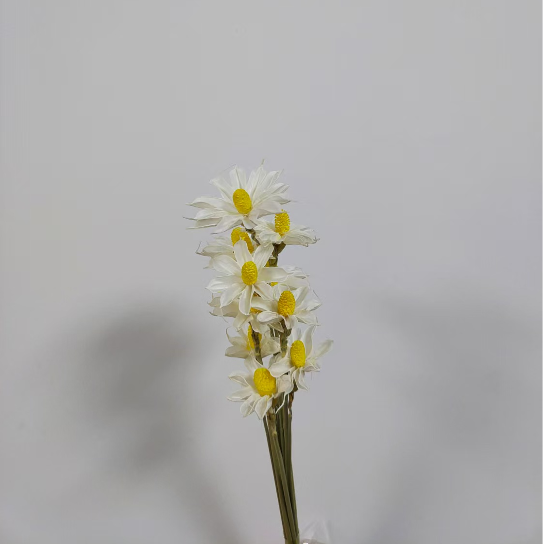 文心兰干花花束客厅装饰diy永生摆件花材