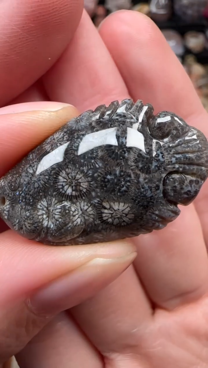 颈饰未镶嵌硅化珊瑚（珊瑚玉）398