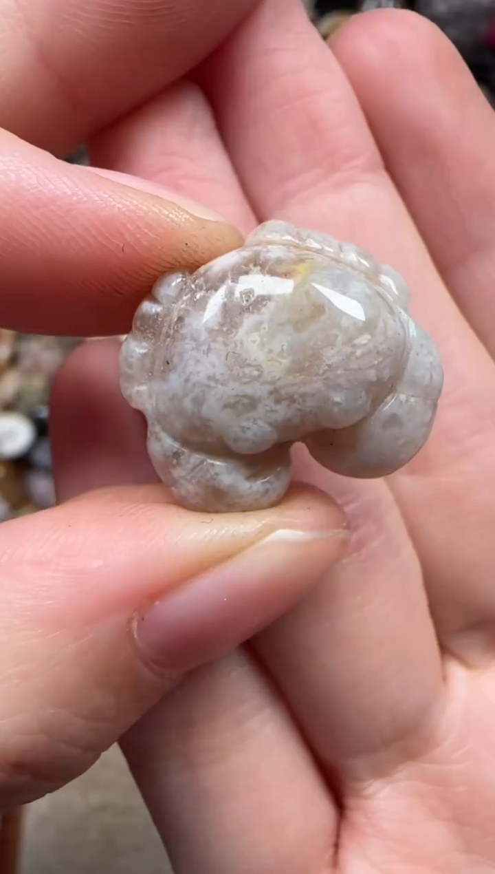 颈饰未镶嵌硅化珊瑚（珊瑚玉）338