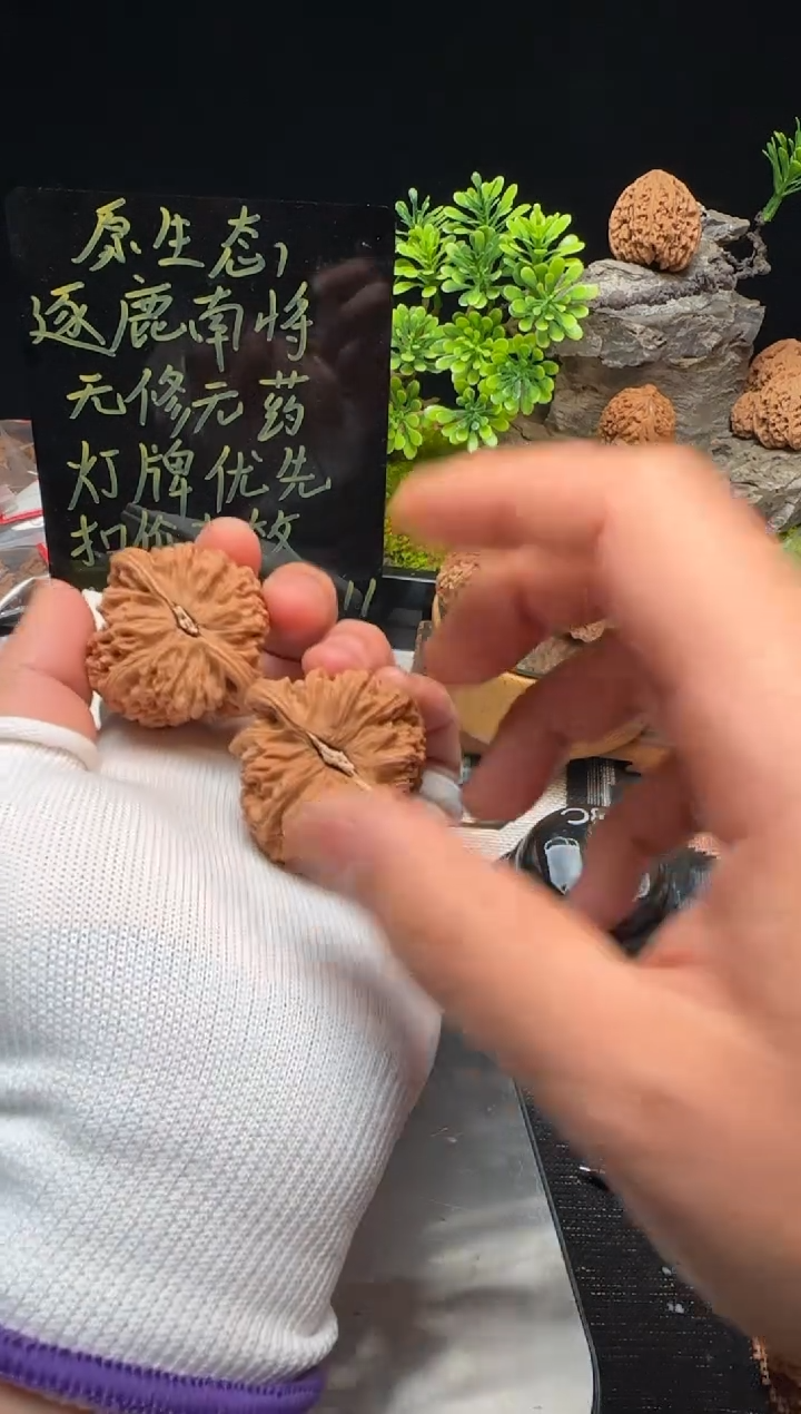 【闪购商品】文玩核桃把件南将石