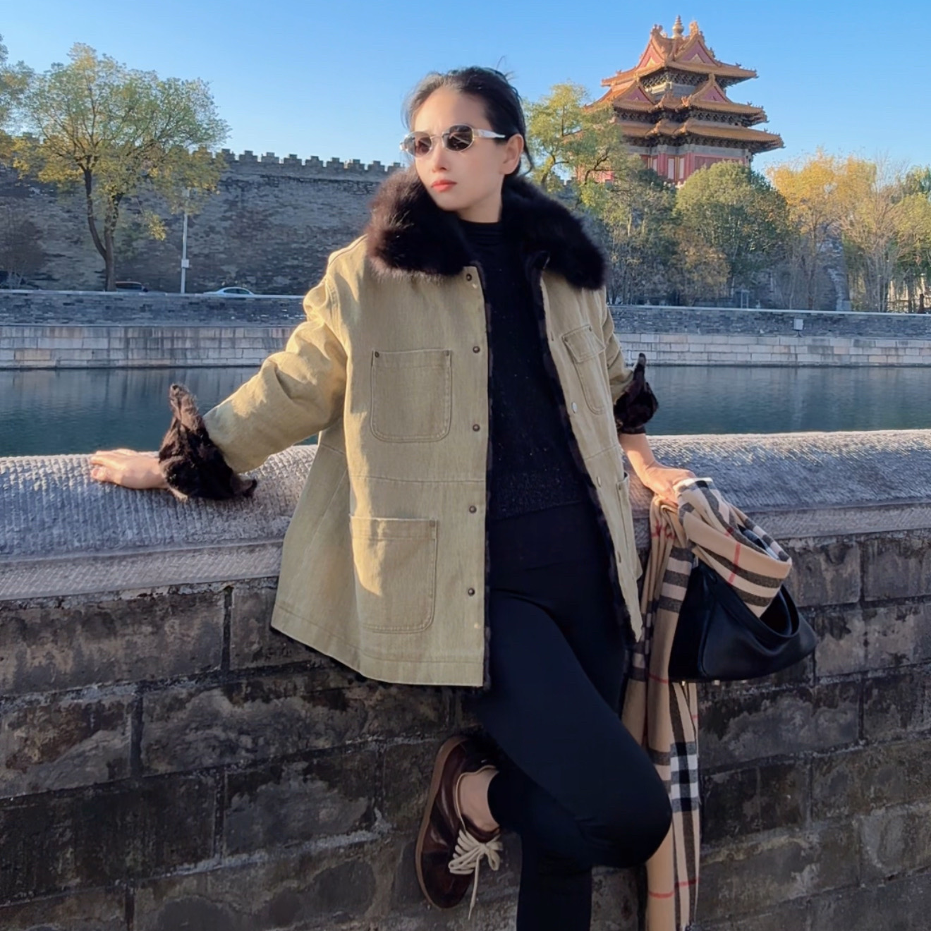 水貂大衣紫貂领毛皮草外套中长款 翻领双面双穿貂皮大衣女款25015