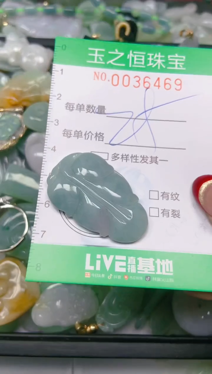 【闪购商品】翡翠颈饰未镶嵌闪购0036469