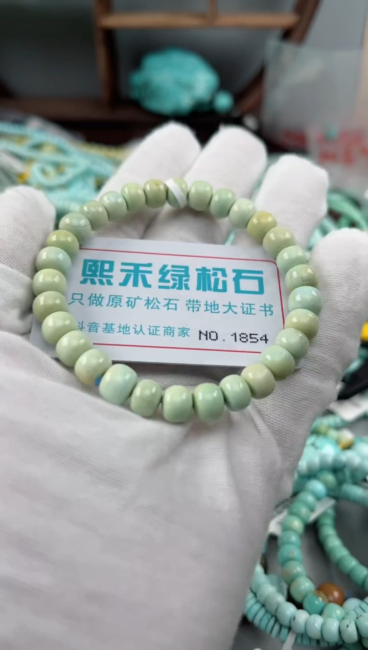 未镶嵌绿松石松石1854