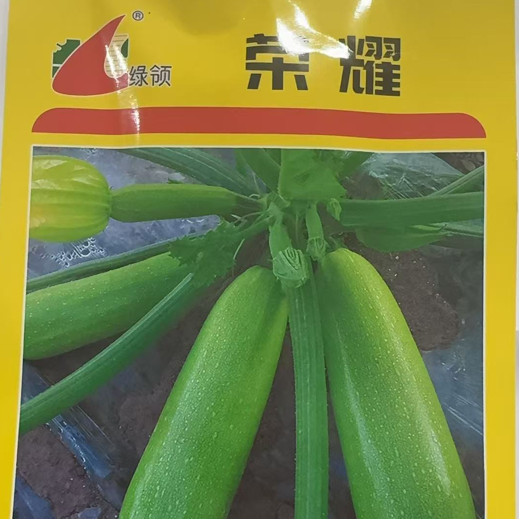 10克荣耀西葫芦种子好吃商品性好