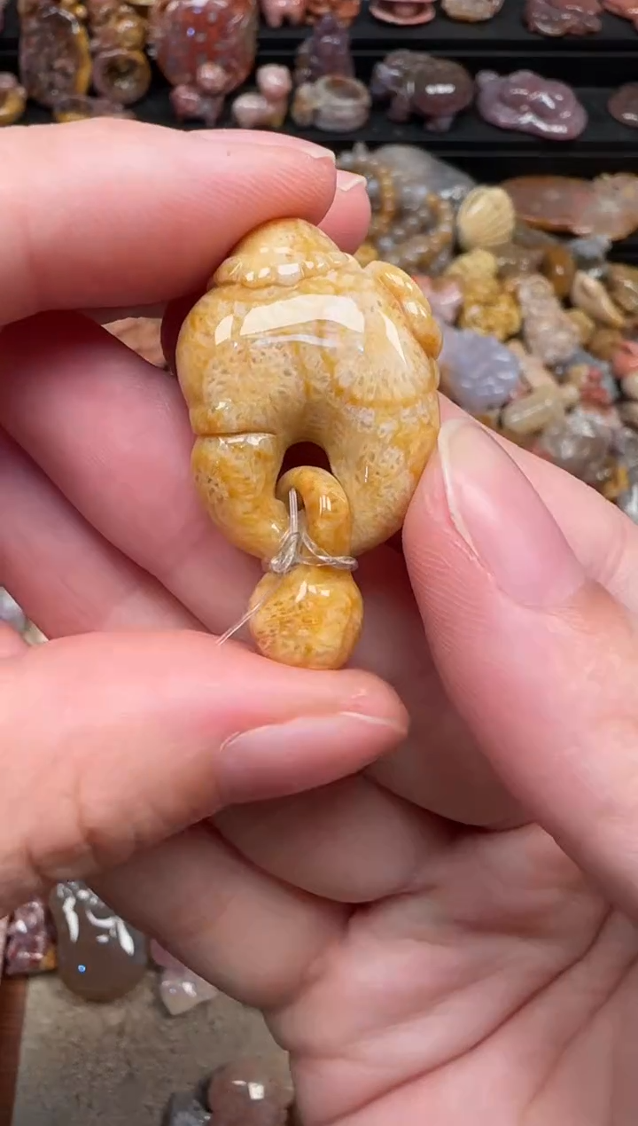 颈饰未镶嵌硅化珊瑚（珊瑚玉）554