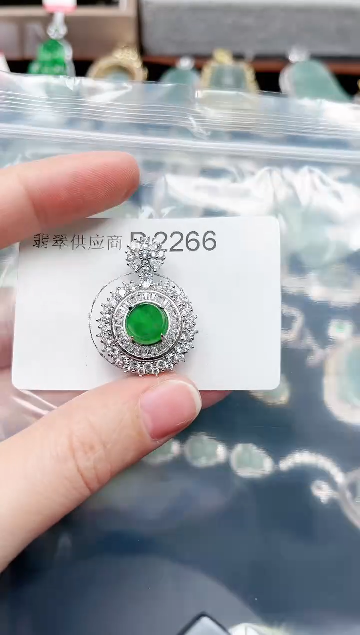 【闪购商品】翡翠颈饰未镶嵌2266赠皮绳