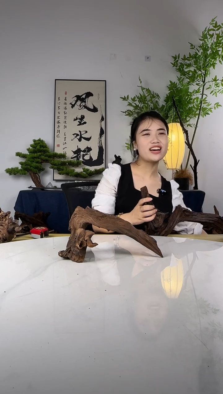 ?****?沉木定向编号43