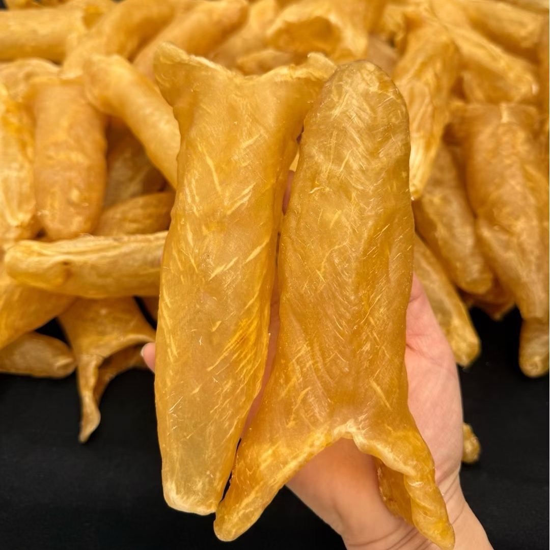 直播间 潮胶乐精选 正宗黄花胶11头足干 老胶