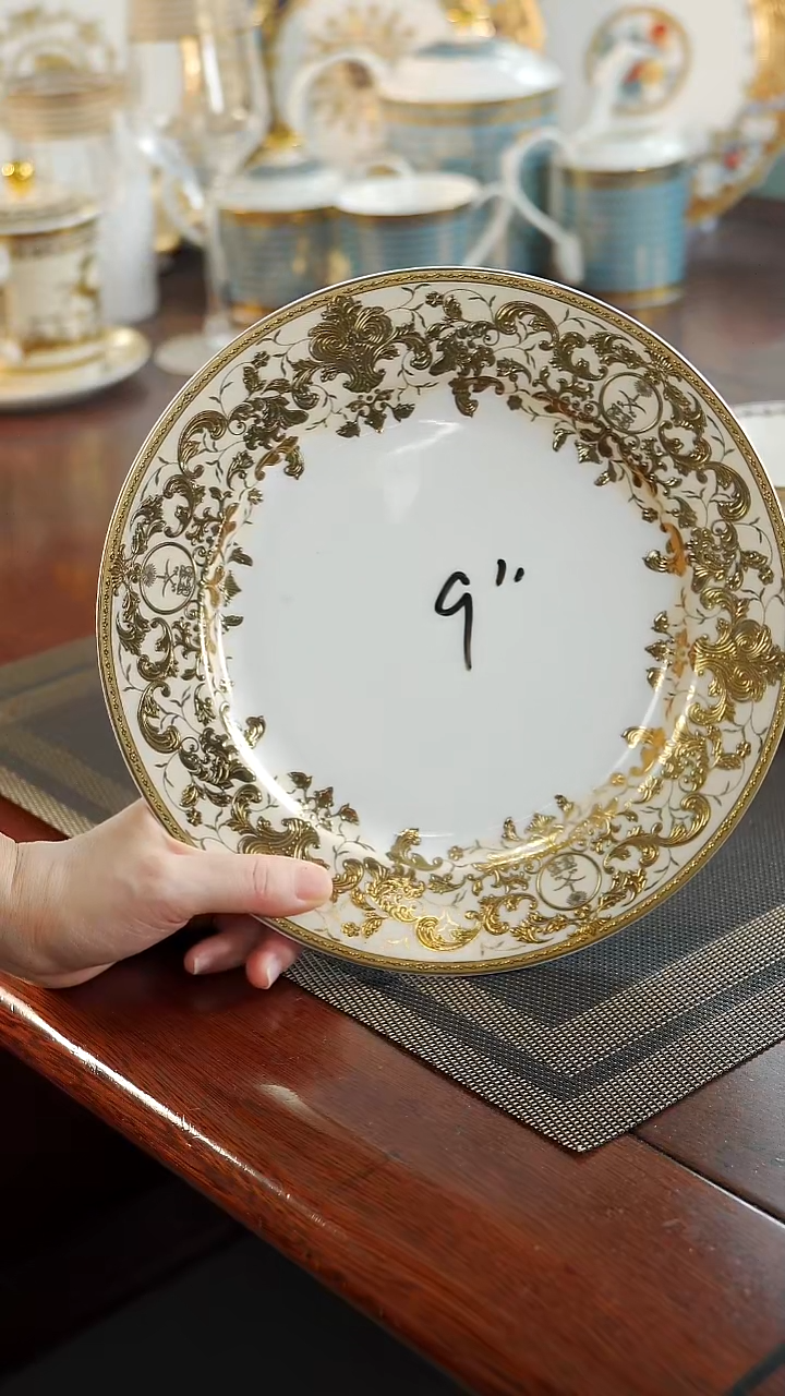 瓷片9英寸平盘1个