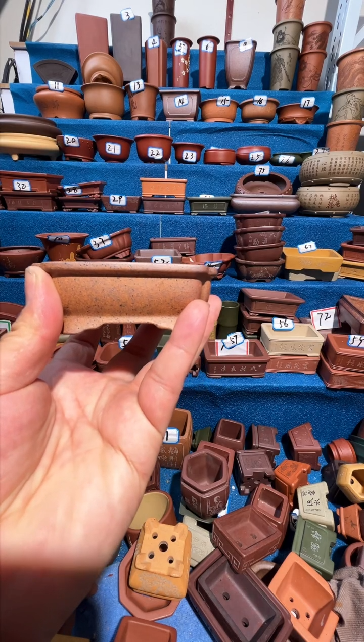 【闪购商品】紫砂紫砂花盆8.5*6.5*2.5