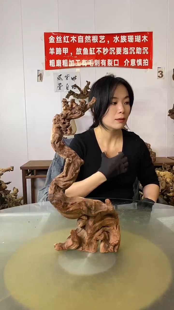 香榧木张*丰金丝红木 羊蹄甲