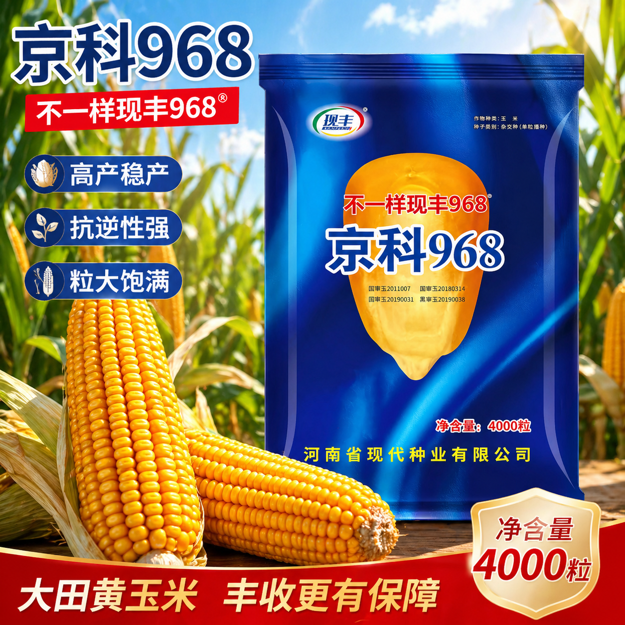 【三国审京科968】双棒双抗玉米种子高产稳产高抗矮杆大棒原装正品
