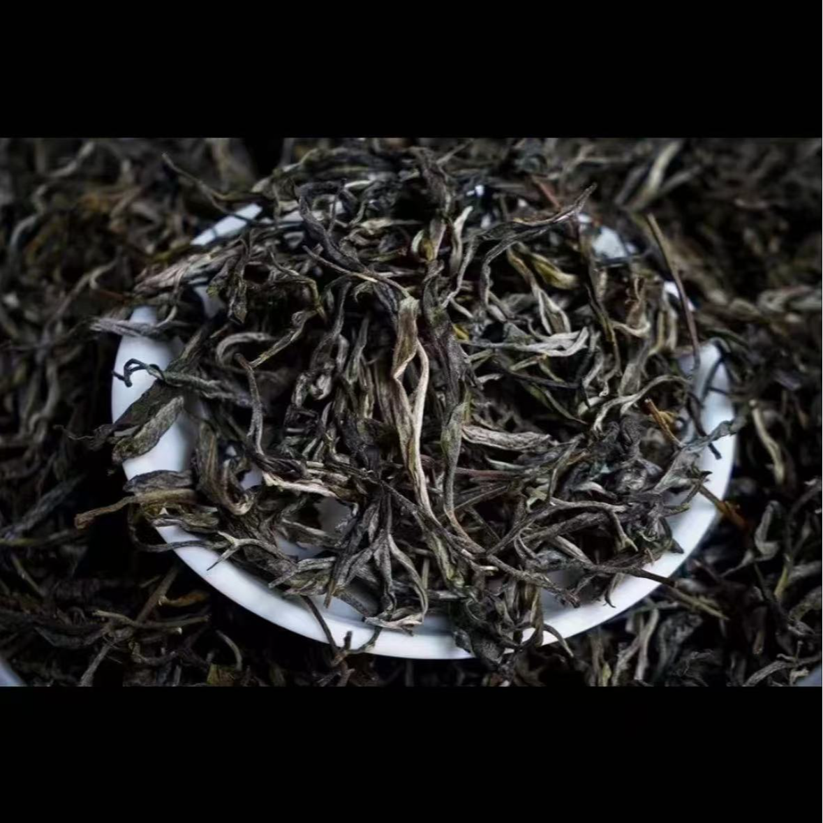 小攀家的茶-通用临时链接【114号】