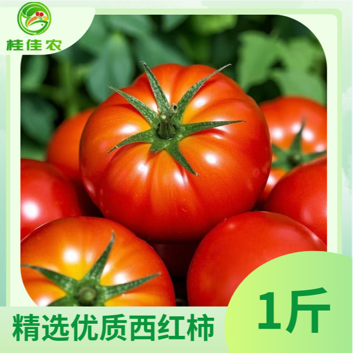 【桂佳农小时达】精选优质西红柿 1斤/份