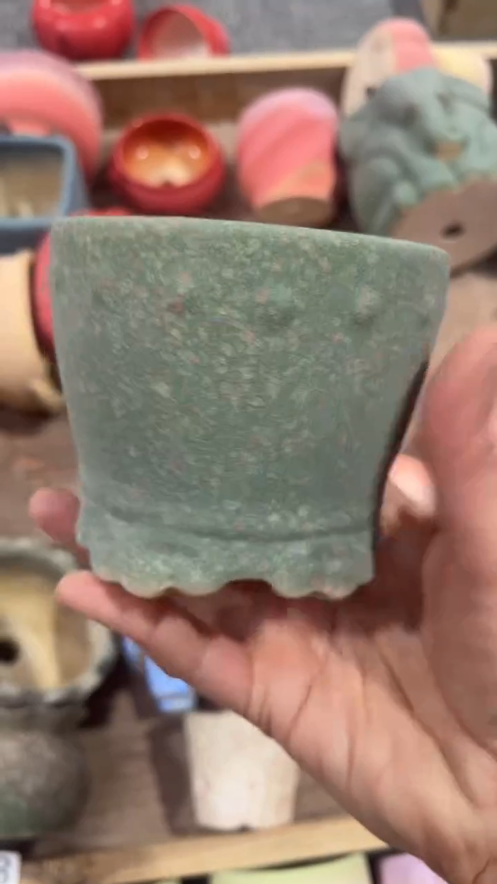 【闪购商品】红陶8*8