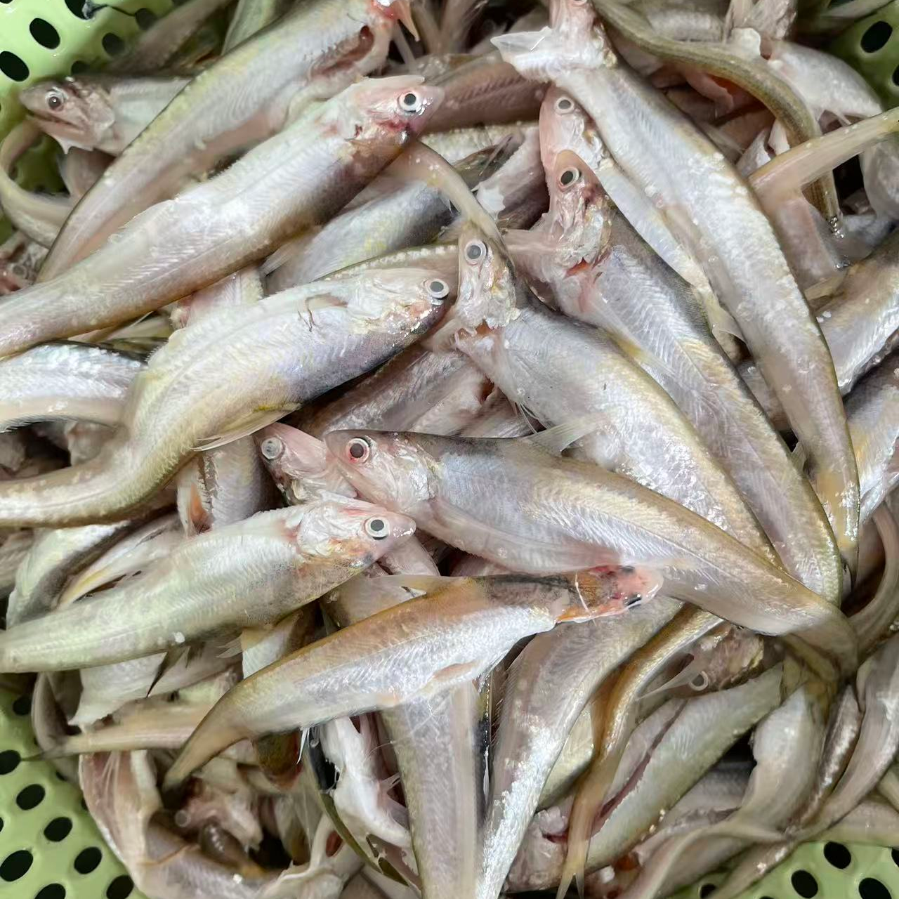 淮河纯野生毛刀鱼小炕鱼纯天然无添加酥若无刺下酒下饭