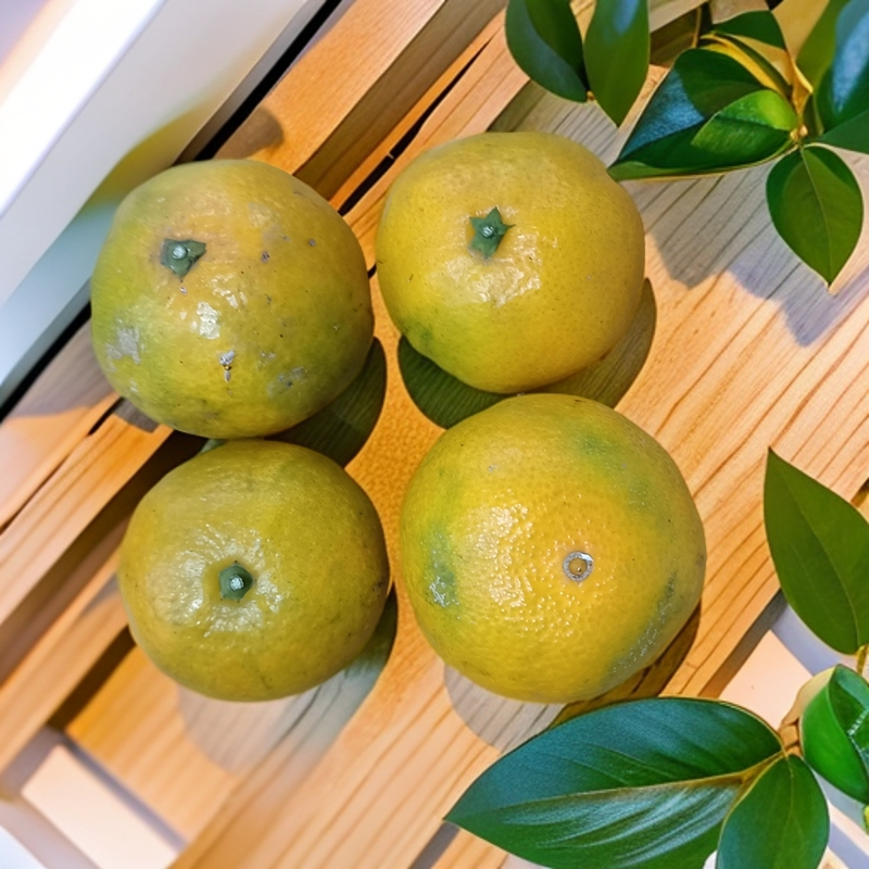 【村支书姚其飞】当涂农家自种9甜1酸新鲜柑橘SF包邮